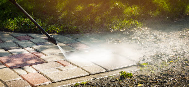 Animal Enclosure Cleaning in North Port, FL